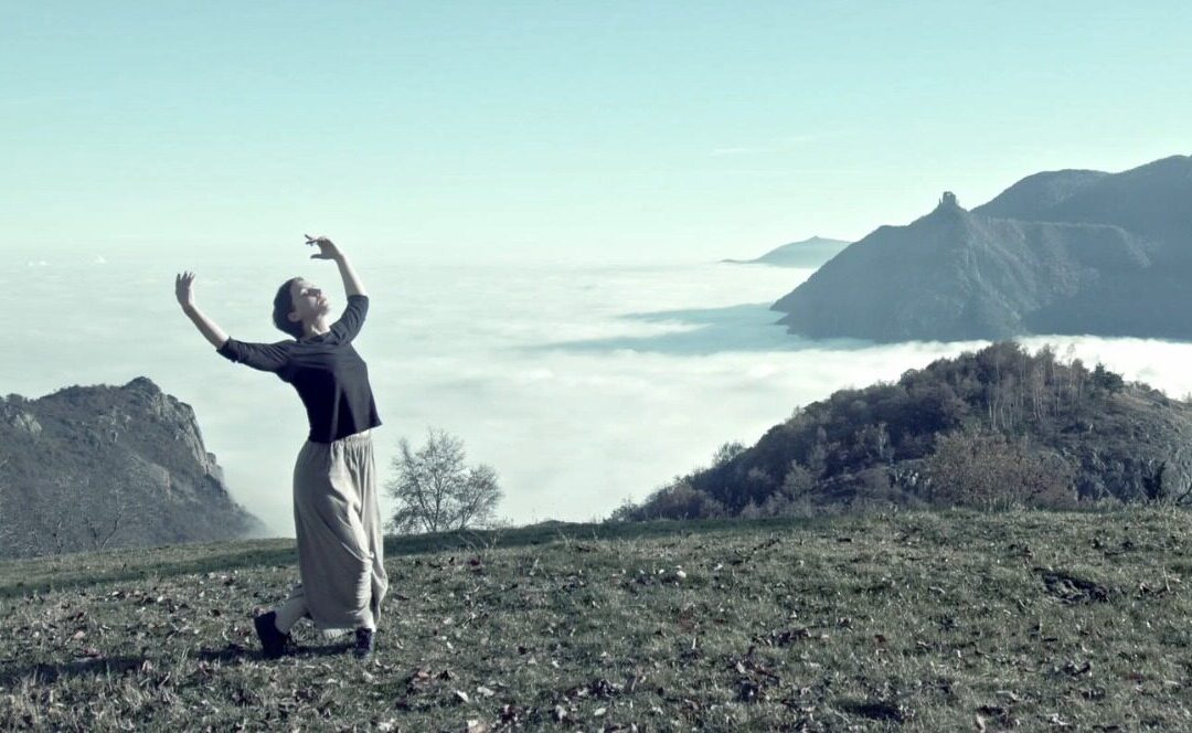 Una farfalla di fronte al cielo