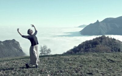 Una farfalla di fronte al cielo
