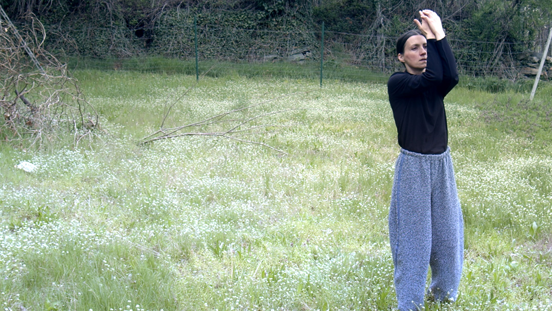Delicatezza secondo movimento- video